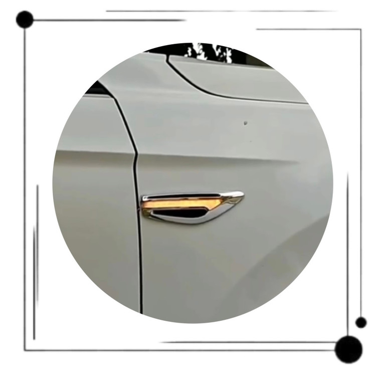 راهنما رانینگ زیمر دیلایت دار